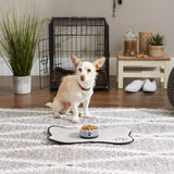 Paw & Patch Nautical Blue Small Ceramic Pet Bowl for Dogs and Cats - 4.25