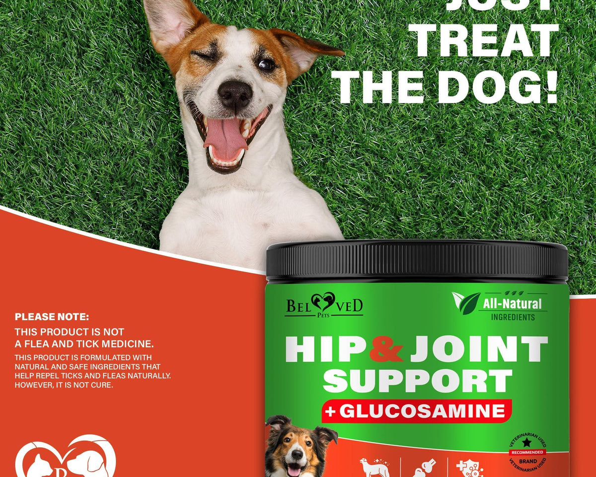 Premium Hip & Joint Soft Chews for Senior Dogs - Natural Arthritis Relief with Glucosamine, Chondroitin & Turmeric for Enhanced Mobility