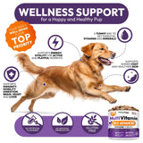 Dog Multivitamin Chewable Vitamins Supplements 