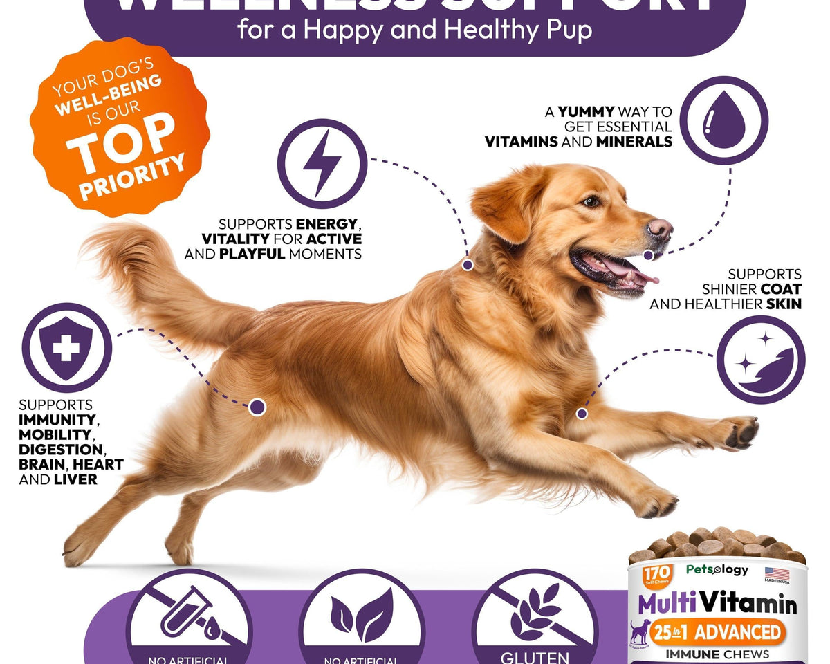 Dog Multivitamin Chewable Vitamins Supplements 