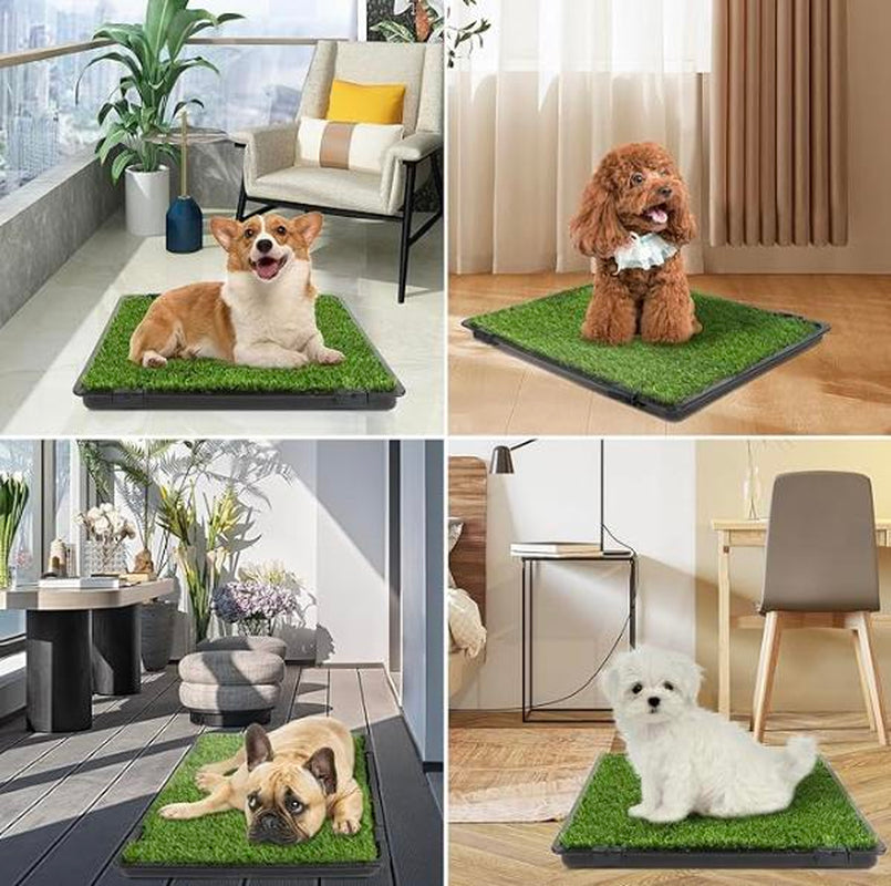 Upgrade Your Pet's Potty Experience: Petlovevibes Reusable Dog Grass Pad with Tray - Includes 2 Replaceable Grass Mats, Quick Absorbent & Washable for Indoor Use, Perfect for Small to Large Dogs (22"X18")