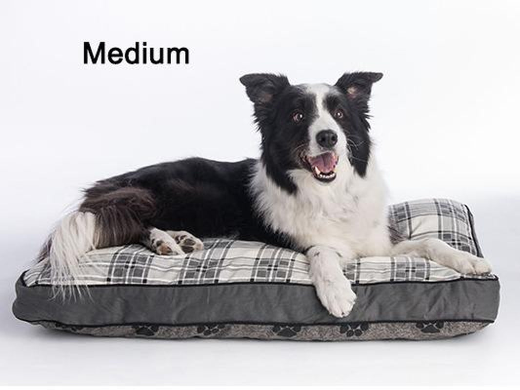 Luxurious MyPillow Dog Beds - Ultimate Comfort for Indoor and Outdoor Relaxation