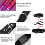 Gift for Pets, LED Light up 