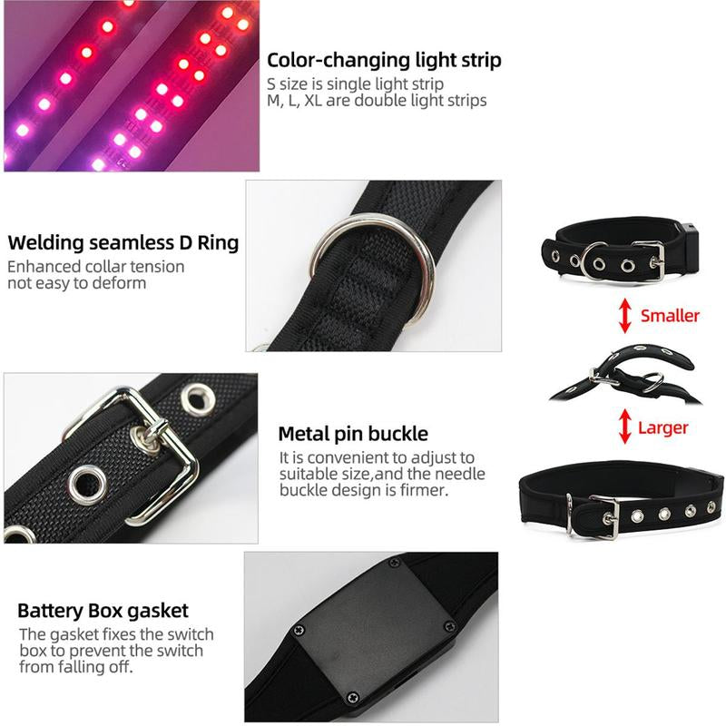 Gift for Pets, LED Light up 