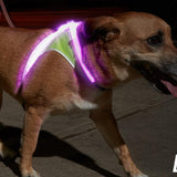 Noxgear Lighthound: Advanced Illuminated and Reflective Dog Harness with Multicolored LED Fiber Optics, USB Rechargeable, Adjustable, Lightweight, and Rainproof Design
