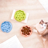 Pet Bowl with Stable Bottom Anti-Overturn