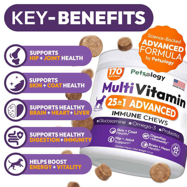 Dog Multivitamin Chewable Vitamins Supplements 
