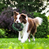 Durable Squeaky Dog Chew Toy - Rubber Steering Wheel Design for Medium and Large Breeds (Green)