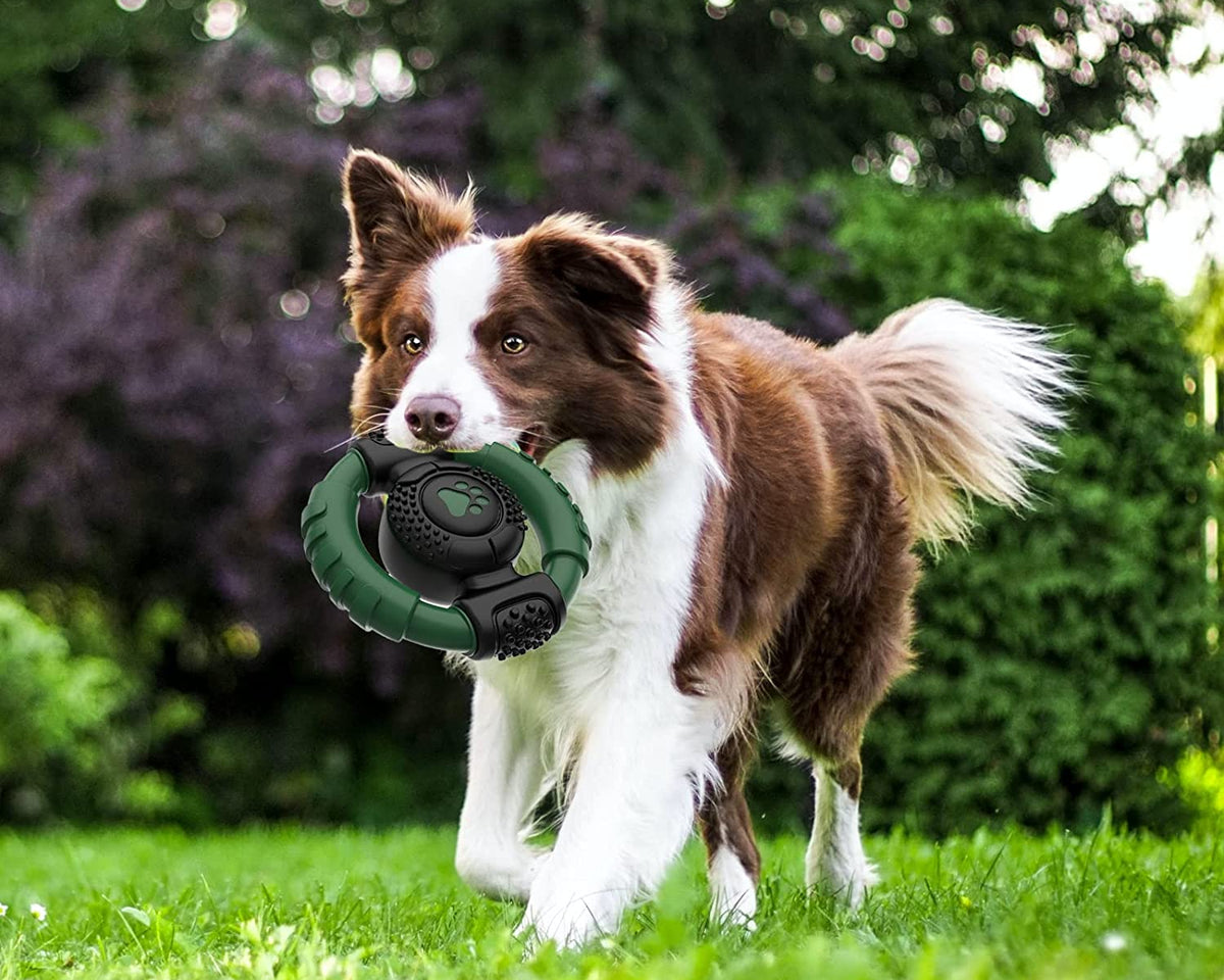 Durable Squeaky Dog Chew Toy - Rubber Steering Wheel Design for Medium and Large Breeds (Green)