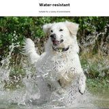 Z8 GPS Pet Tracker - Real-Time Location, Anti-Lost Collar for Dogs & Cats