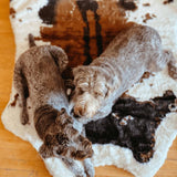 Puprug Premium Orthopedic Memory Foam Dog Bed with Faux Fur in Animal Print, 55