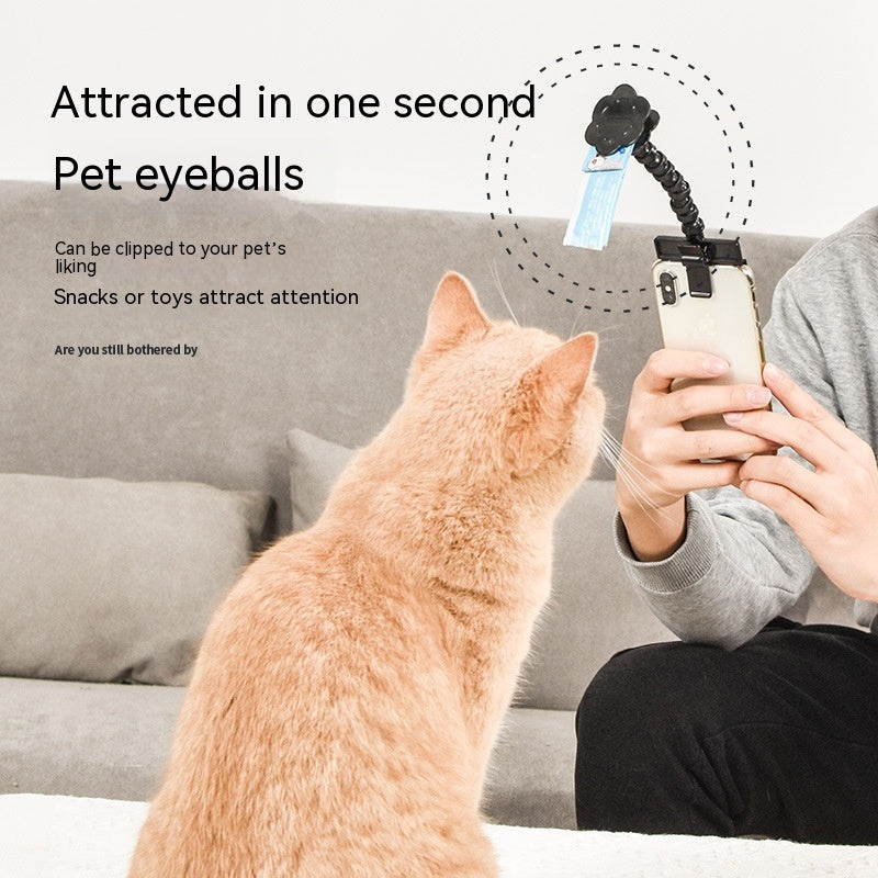 Pet Photography Tool Cat