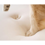 Puprug Premium Orthopedic Memory Foam Dog Bed with Faux Fur in Animal Print, 55