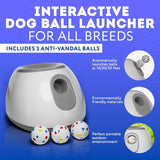 1 Box Interactive Dog Toy with 3 Counts Ball