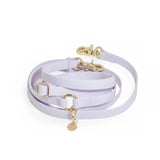 4-In-1 Convertible Hands Free Cloud Dog Leash