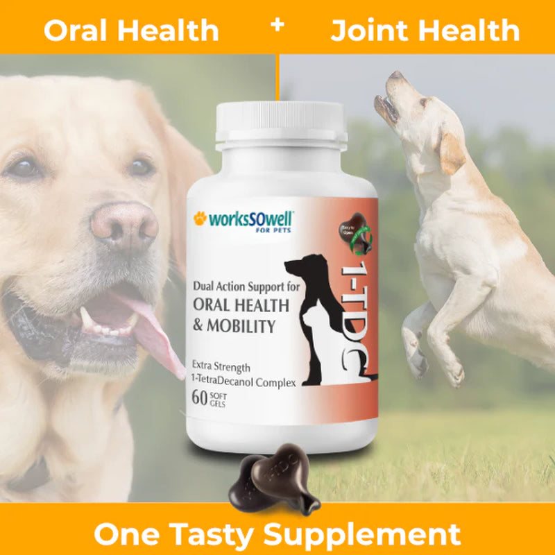 1-TDC Oral Health & Joint Mobility Support for Happy, Active Dogs