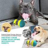 Interactive Dog Puzzle Toy