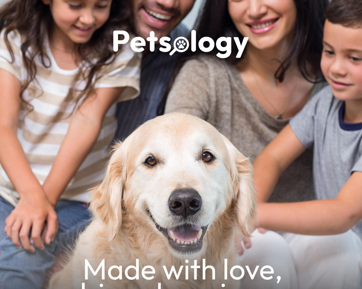 Delicious Probiotic Chews for Dogs - 170 Digestive Enzymes & Prebiotics for Optimal Gut Health!