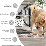 Paw & Patch Nautical Blue Small Ceramic Pet Bowl for Dogs and Cats - 4.25