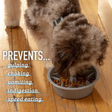 Puzzle Slow Feeder Dog Bowl - 2-Cup Capacity with 7.5-8 Inch Opening Suitable for All Breeds