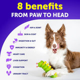 Ultimate 20-in-1 Dog Multivitamin Chewables with Glucosamine for Optimal Health