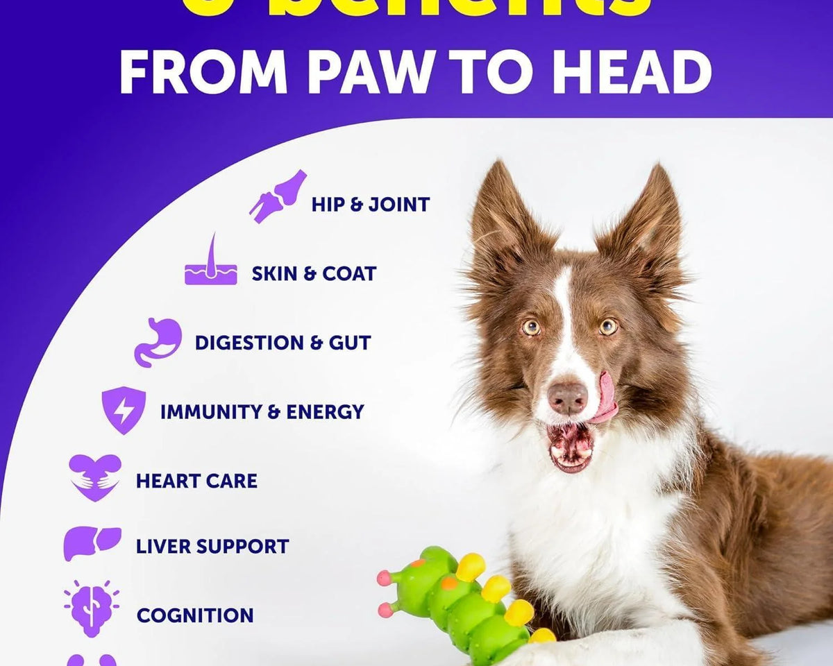 Ultimate 20-in-1 Dog Multivitamin Chewables with Glucosamine for Optimal Health
