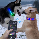 Gift for Pets, LED Light up 