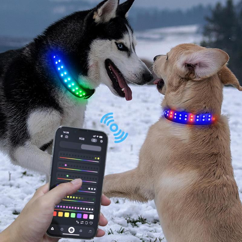Gift for Pets, LED Light up 