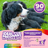 Premium Prenatal Multivitamins for Dogs and Cats - Enriched with Folic Acid and Essential Minerals