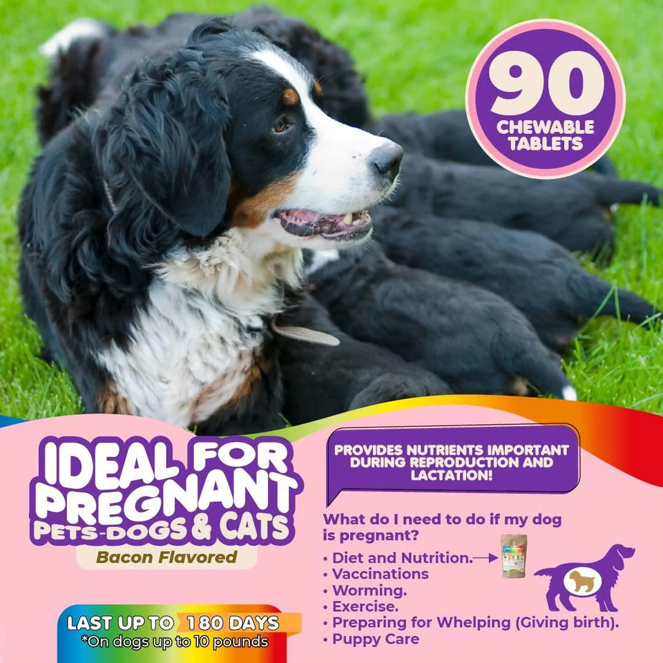 Premium Prenatal Multivitamins for Dogs and Cats - Enriched with Folic Acid and Essential Minerals