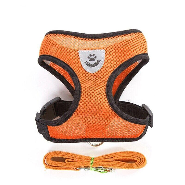 Breathable Mesh Padded Dog Harness - Comfortable and Available in Multiple Colors and Sizes (S, M, L)