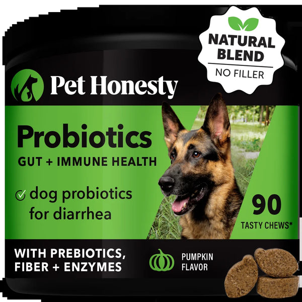 Delicious Pumpkin Flavor Digestive Probiotics Chews - 90 Count with 20% Off Auto Renew!