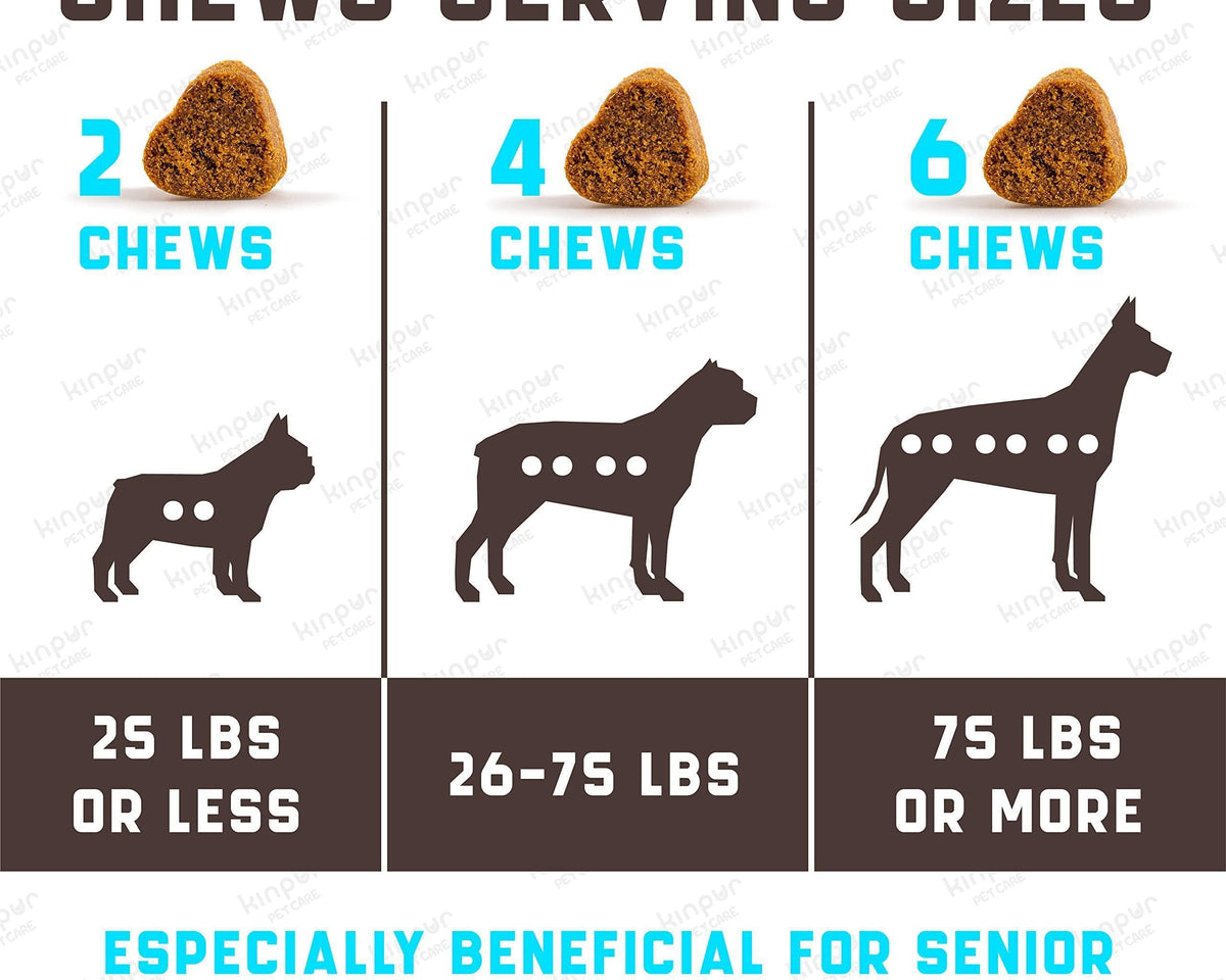 Eye Vitamins for Dogs 