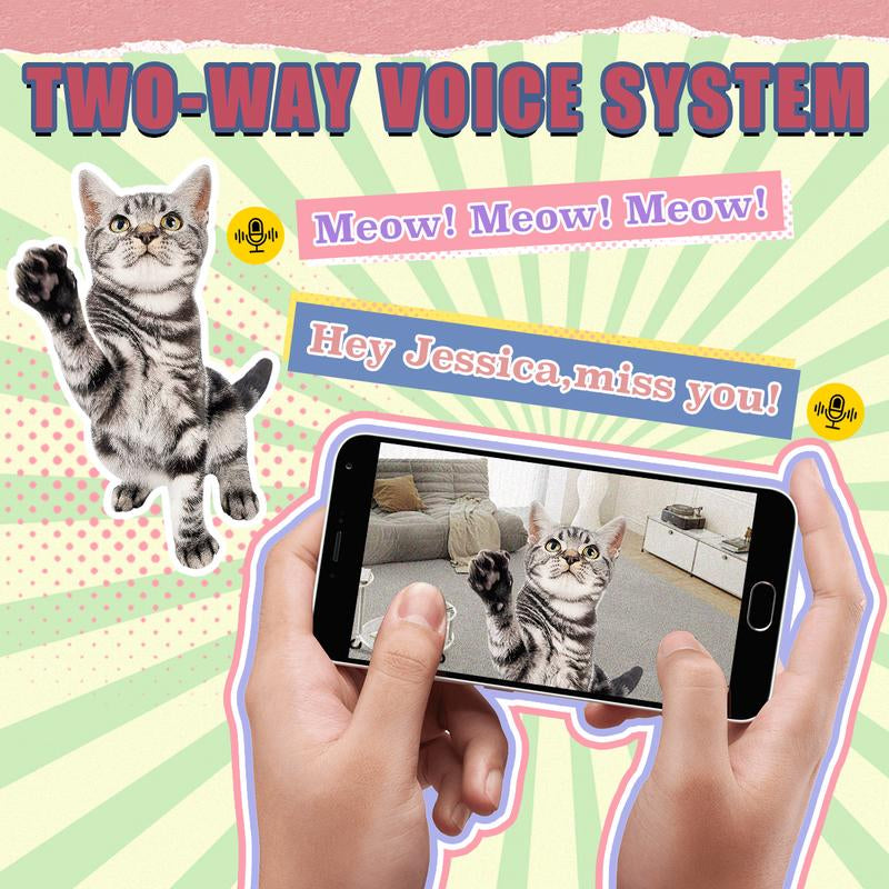 Automatic Cat Feeder