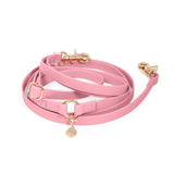 4-In-1 Convertible Hands Free Cloud Dog Leash