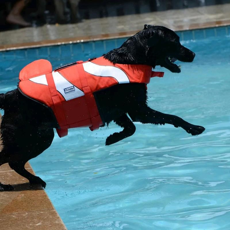 Dog Life Jacket with Rescue Handle - Adjustable Flotation Vest for Small, Medium, and Large Dogs - Ideal for Swimming Pools and Beaches