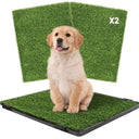  Black Tray