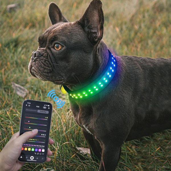 Gift for Pets, LED Light up 