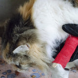 Essential 53-Piece Pet First Aid Kit with Comprehensive Guide – Compact and Complete Care for Your Furry Friends!
