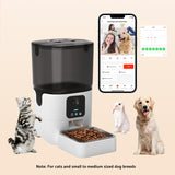 Automatic Cat Feeder