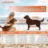 Dog Life Jacket with Rescue Handle - Adjustable Flotation Vest for Small, Medium, and Large Dogs - Ideal for Swimming Pools and Beaches