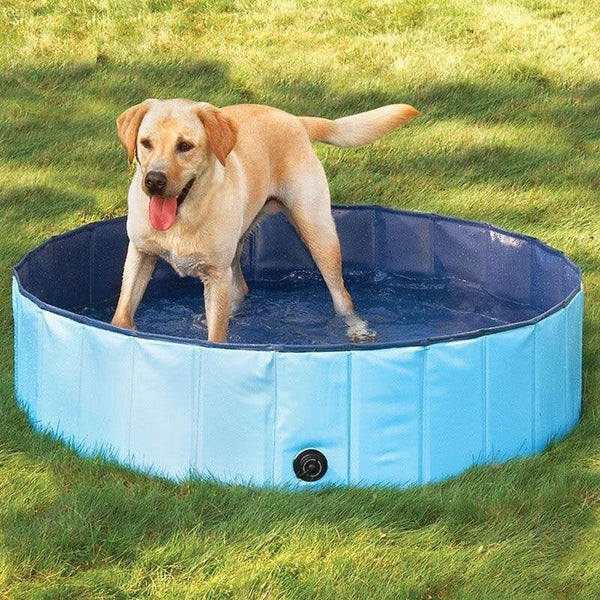 Foldable Pet Swimming Pool - My Pet Collective Foldable Pet Swimming Pool