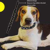 Heavy Duty Reflective Dog Collar - Padded, and Adjustable 