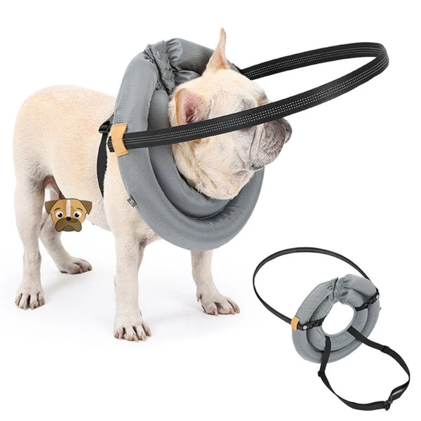 Ultimate Pet Safety Harness for Blind Dogs and Cats - Enhanced Protection for Daily Walks