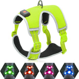 USB Rechargeable LED Dog Harness with Reflective Strips - Adjustable Medium Comfort Fit (Green)