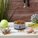 Paw & Patch Nautical Blue Small Ceramic Pet Bowl for Dogs and Cats - 4.25