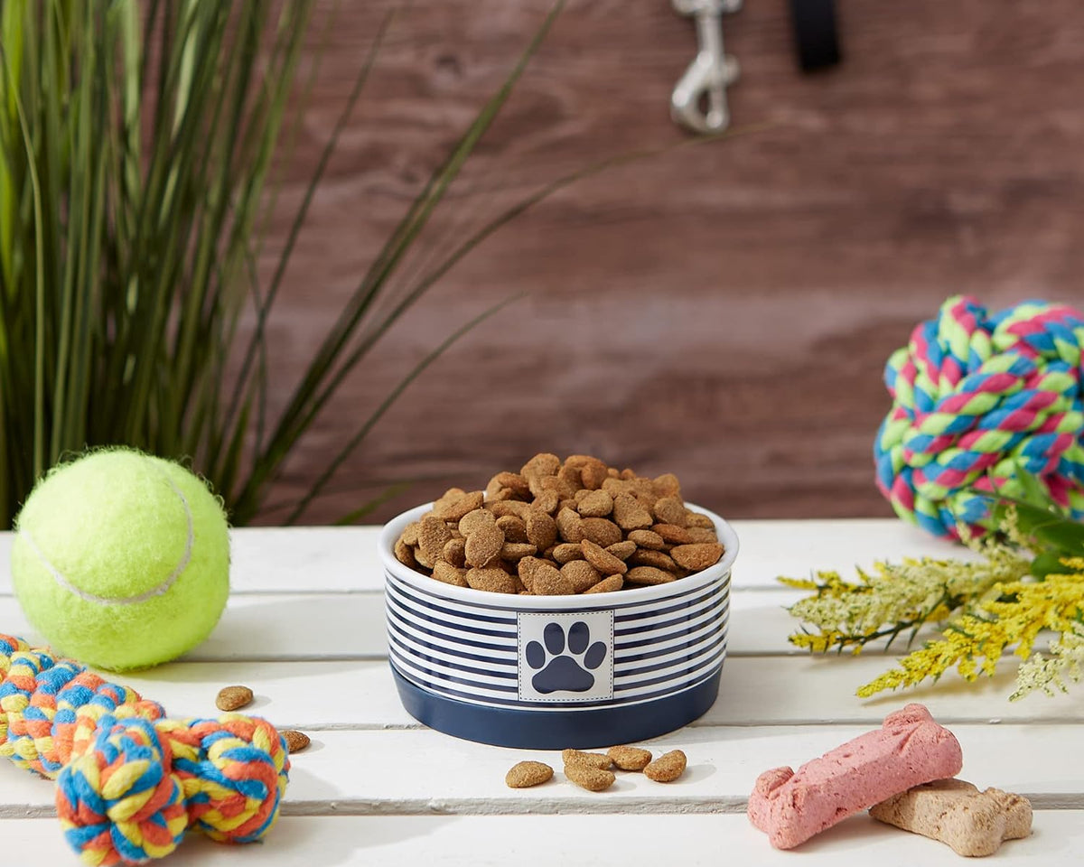 Paw & Patch Nautical Blue Small Ceramic Pet Bowl for Dogs and Cats - 4.25" x 2" with Non-Slip Base