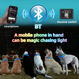 Gift for Pets, LED Light up 