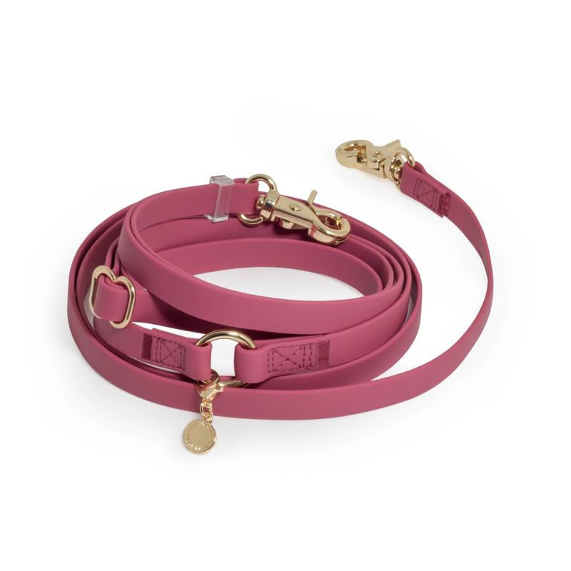 4-In-1 Convertible Hands Free Cloud Dog Leash