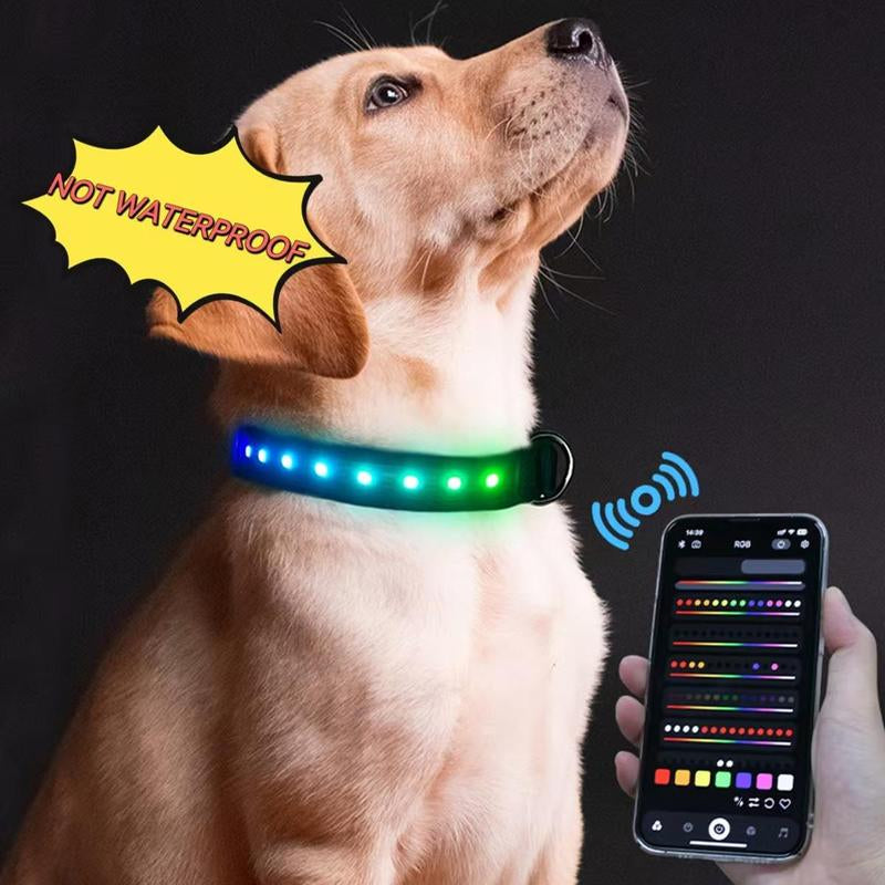 Gift for Pets, LED Light up 
